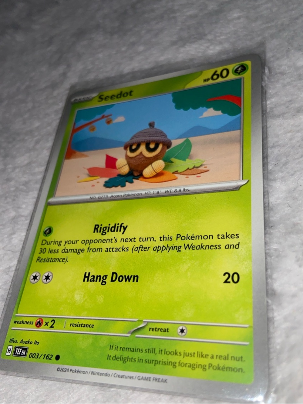 Seedot (003/162)  Pokémon TCG: Scarlet & Violet—Temporal Forces